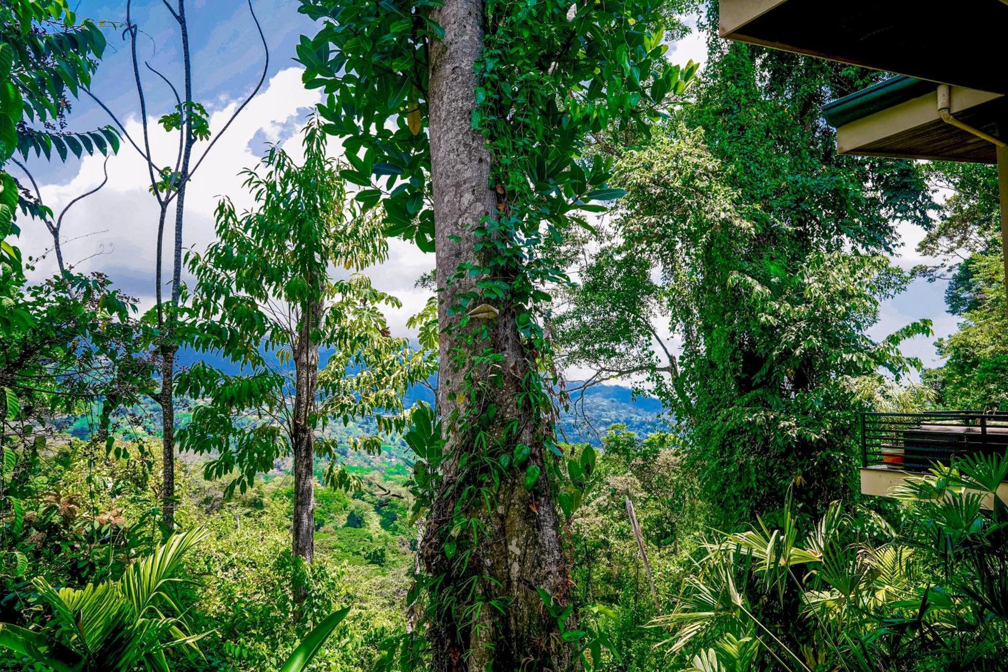 Casa Vista Verde Uvita Ngoại thất bức ảnh