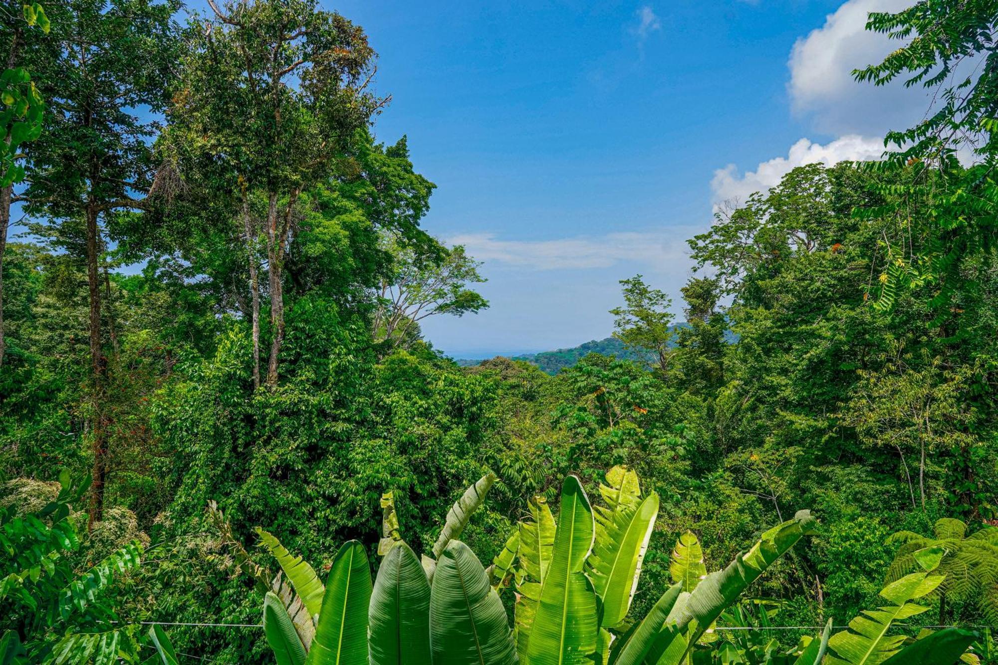 Casa Vista Verde Uvita Ngoại thất bức ảnh